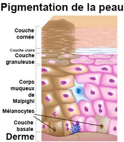 pigmentation de la peau