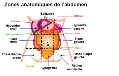 Particularités des douleurs abdominales selon la localisation ...