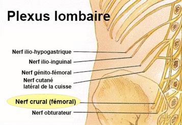 Névralgie : symptômes, traitement, définition - docteurclic.com