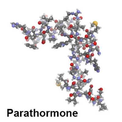 Hyperparathyroïdie