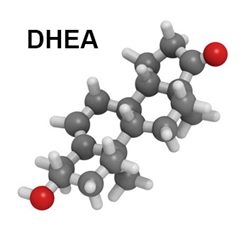 molécule de DHEA