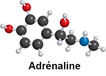adrénaline