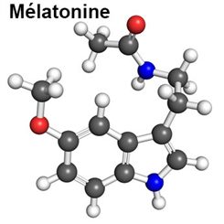 mélatonine