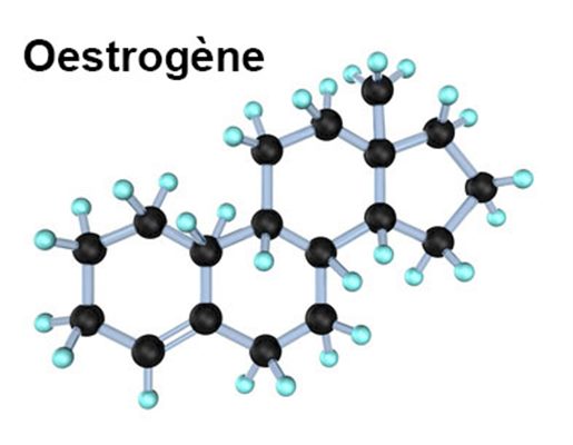 Dosage des oestrogènes