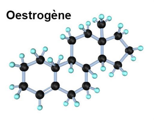 Traitement
hormonal substitutif - THS