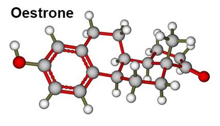 oestrone