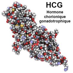 HCG