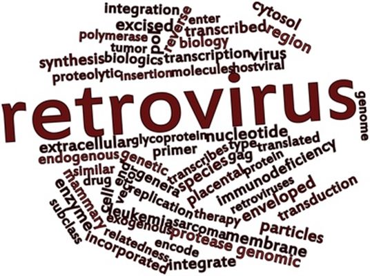 Rétrovirus