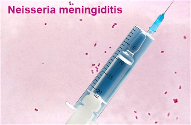 Vaccin anti-méningococcique