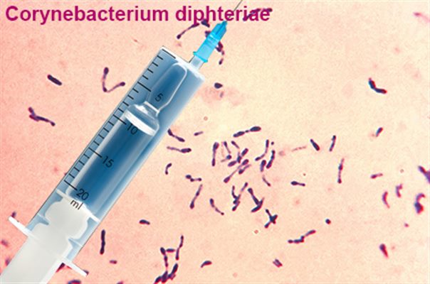 Vaccin contre la diphtérie
