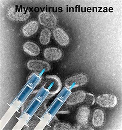 Immunodéprimés et vacination grippe/pneumocoque