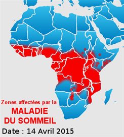 maladie du sommeil