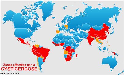cysticercose