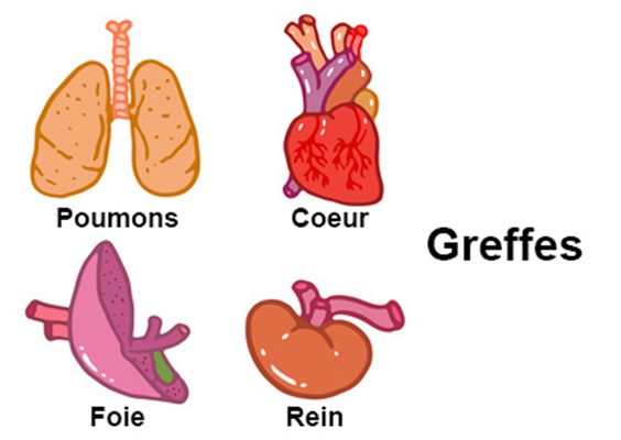 Greffe