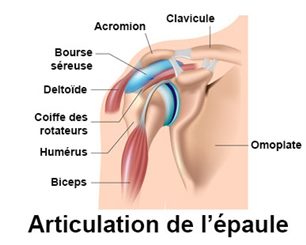 Douleur de l'épaule : symptômes, traitement, définition ...