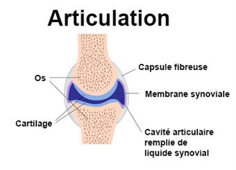 artralgii articulare)