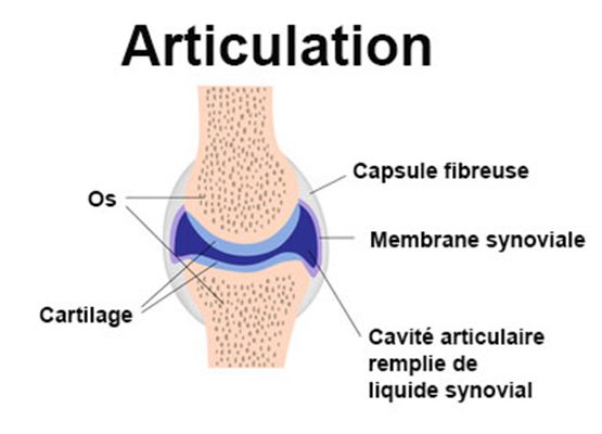 Problèmes articulaires