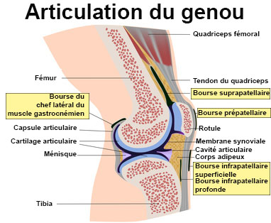 Hygroma : symptômes, traitement, définition - docteurclic.com