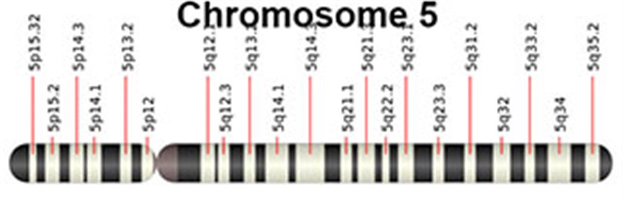 Aberrations chromosomiques