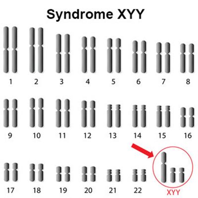 Mutation