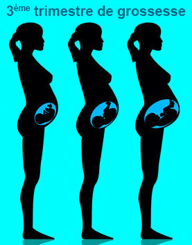 Grossesse 39eme Semaine D Amenorrhee Symptomes Traitement Definition Docteurclic Com Grossesse 39eme Semaine D Amenorrhee Symptomes Traitement Definition Docteurclic Com