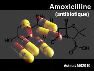 amoxycilline