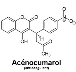 acénocoumarol