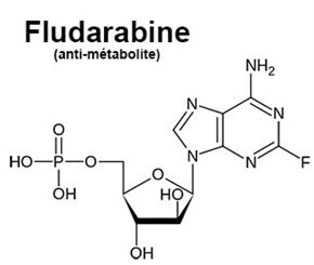 fludarabine