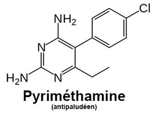 pyriméthamine