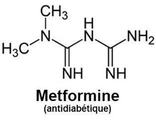 metformine
