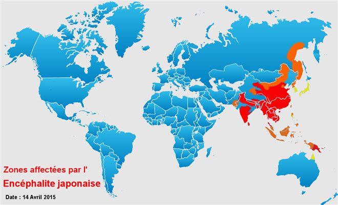 Encéphalite japonaise