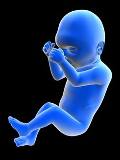 Mort du foetus : symptômes, traitement, définition - docteurclic.com