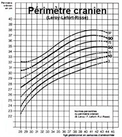 Croissance Foetale Definition Docteurclic Com