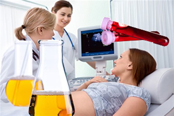 Déclaration de grossesse, examens biologiques nécessaires