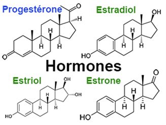 hormones