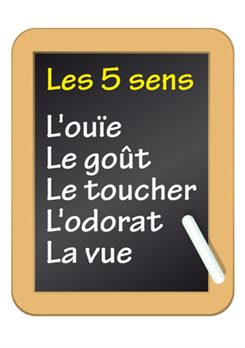les 5 sens