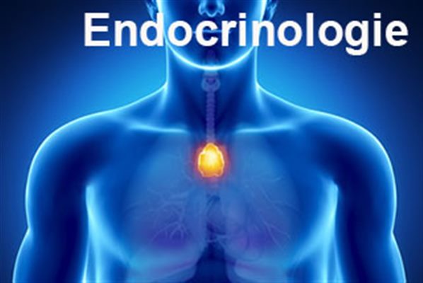 Endocrinologie