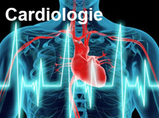 Maladies cardiovasculaires chez la femme :  des réponses à vos questions