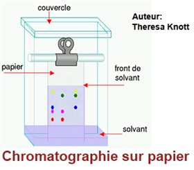 chromatographie