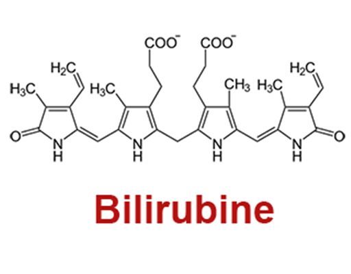 Bilirubinémie