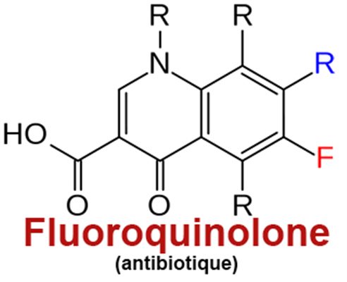 Quinolones