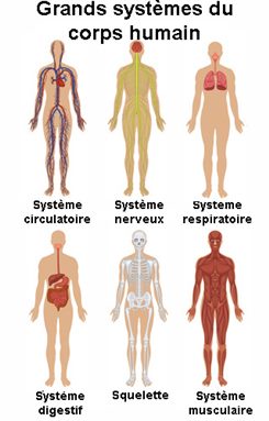 grands systèmes