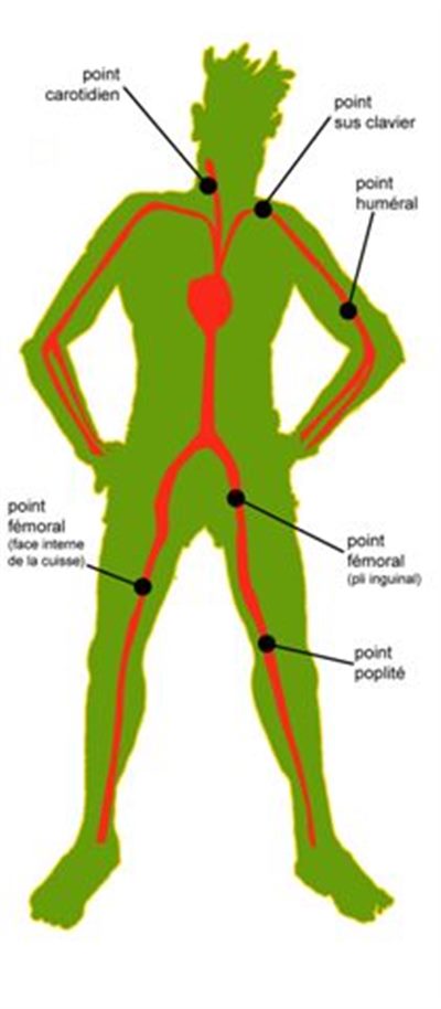 Points de compression (rando, trek, montagne)