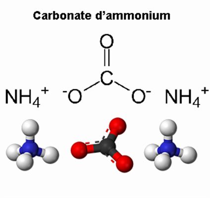 Ammonium carbonicum (homéopathie)