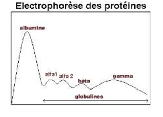 Micro-albuminurie