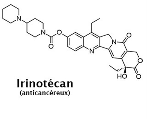 Inhibiteurs de la topo-isomérase