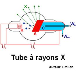 rayons X