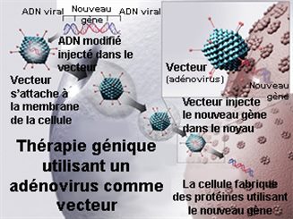 thérapie génique