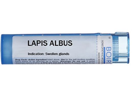 Lapis albus  (homéopathie)