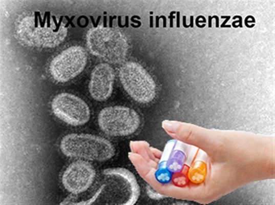 Grippe et homéopathie